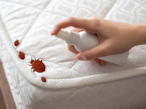 Best Residential Pest Control  in Rolling Hills, CA